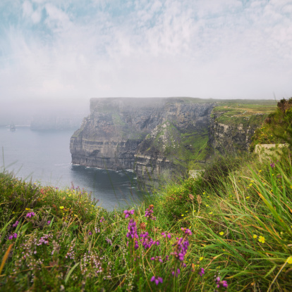 Cliffs of Moher path with flowers