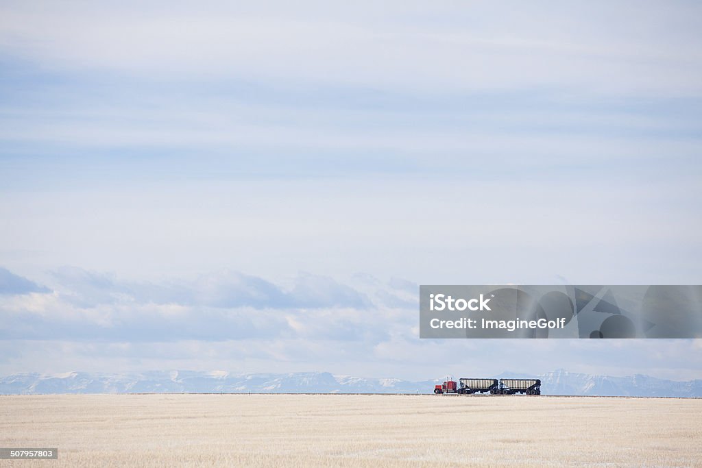 Red Big Rig on the Prairie Red semi truck on the prairie. Cereal Plant Stock Photo