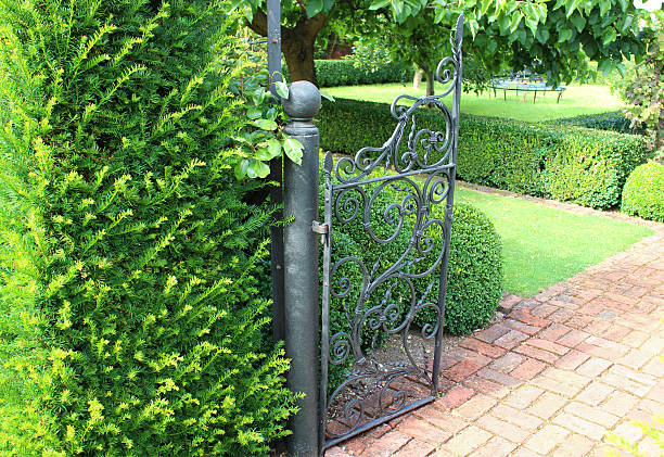 istock Formal garden, brick paved path, ornate iron gate, yew hedge 507958175