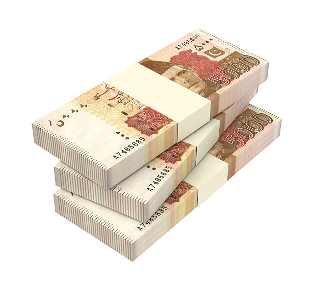 istock Pakistan money isolated on white background. 507958428