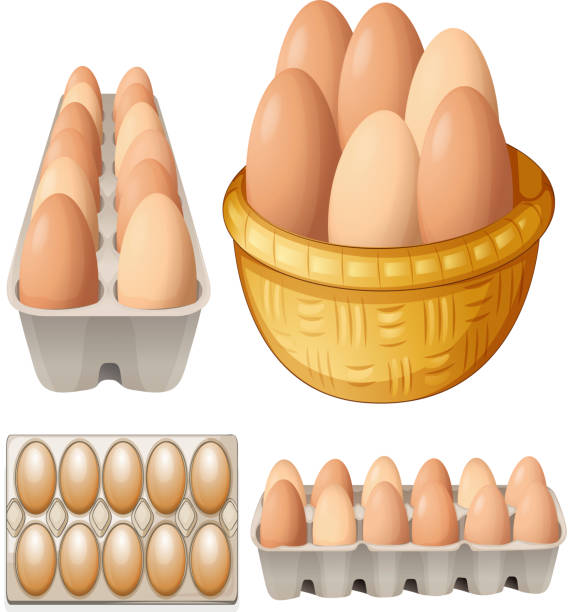 jaja, - animal egg eggs basket yellow stock illustrations