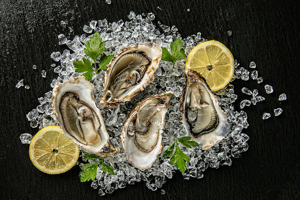 istock Oysters served on stone plate with ice drift 507959182