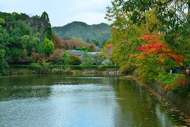 istock Autumn Colors in Kyoto 507960588
