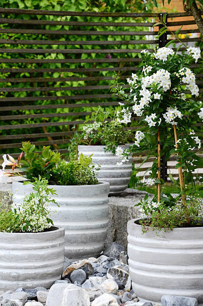 istock Flower pots arranged in a stone garden 507960978