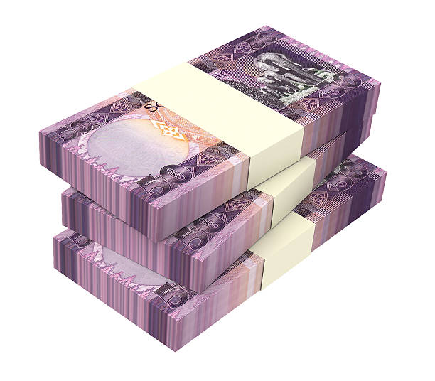 istock South Sudanese pounds bills isolated on white background. 507961376