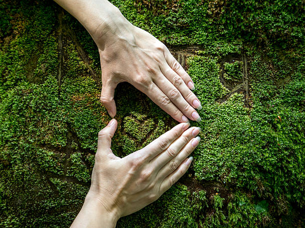 istock Woman's hands folded in shape of heart 507961970