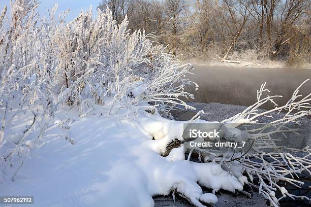 Snowy Shore Stock Photo - Download Image Now - Beauty In Nature, Branch - Plant Part, Brightly Lit