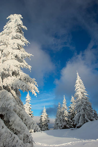 istock Winter in the Carpathian mountains 507966668
