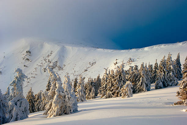 istock Winter in the Carpathian mountains 507968520