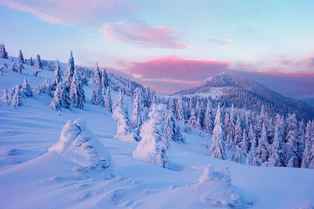istock Winter in the Carpathian mountains 507969812