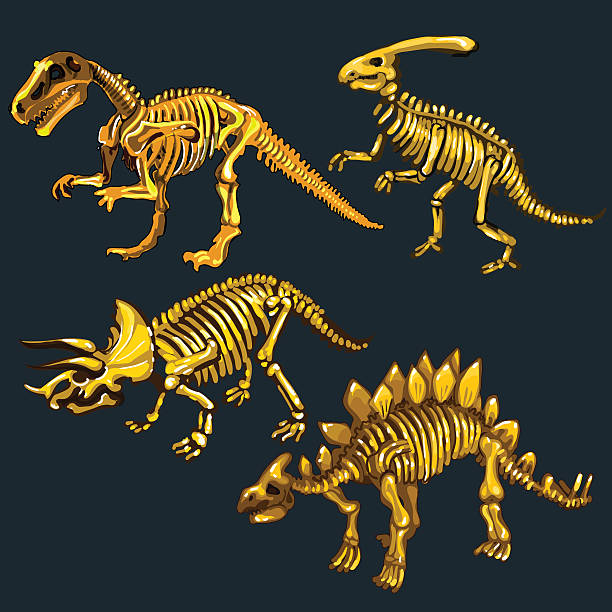золотой скелет из четырех различных динозавров - illustration and painting geologic time scale old fashioned wildlife stock illustrations