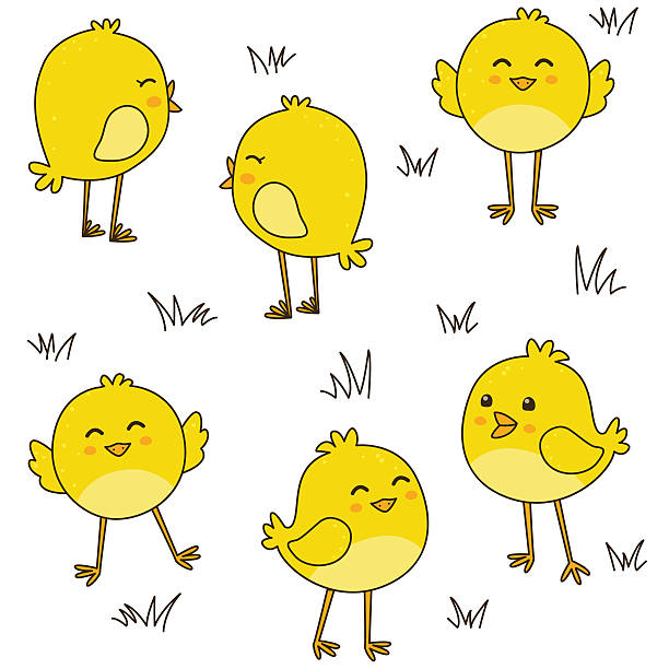 bezszwowe wzór z ładny kurcząt - bird yellow child chicken stock illustrations