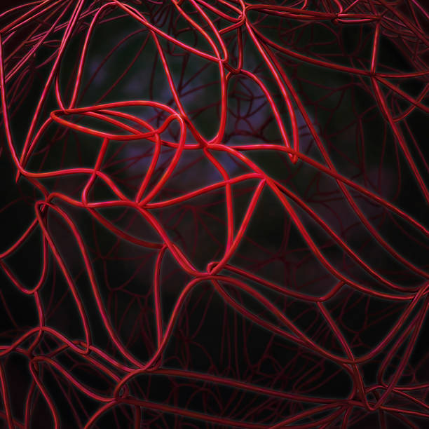 istock Nervous or blood system. Medical illustration 507982413