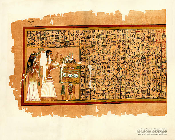 папирус о ani-книга мёртвых - egyptian dynasty stock illustrations