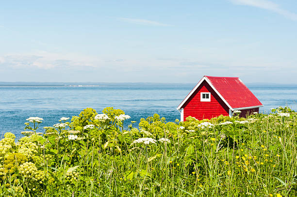 Red Shed Red shed in a field of wild flowers. north quebec stock pictures, royalty-free photos & images