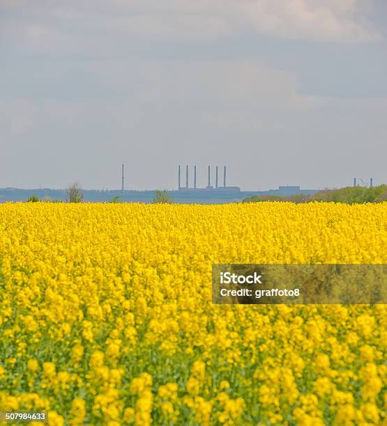 Landscape Stock Photo - Download Image Now - Agricultural Field, Agriculture, Blue