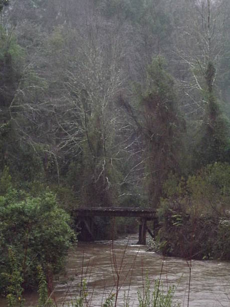 Wooden bridge over "Los Tayos" River stock photo