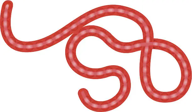 Vector illustration of ebola