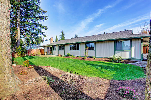 istock House exterior. Backyard with walkout deck 507989301