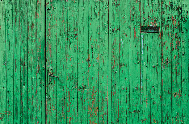 istock Old door disguised as a green fence 507995056