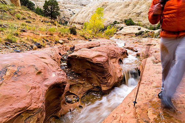 istock Crossing Creek in Canyon 507996392