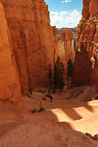 istock Trail of the Bryce National Park, Utah 507997932