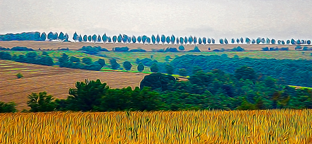 Fields with protective woodland belts. European agriculture in the 21st century. Panoramic landscape in impressionist oil painting style.