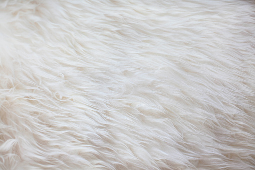 White fur texture background