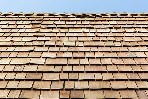 istock Wooded plank roof tiles 508003000
