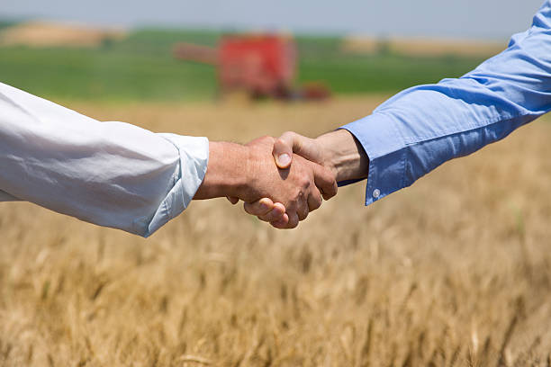 Hands shaking in the field stock photo