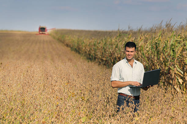 человек с ноутбуком в поле соя - farmer rural scene laptop computer стоковые фото и изображения