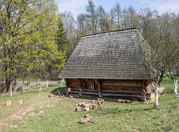 istock Wooden house and fields, Ukraine 508009228
