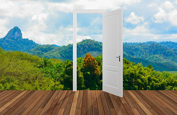 Landscape behind the opening door,3D