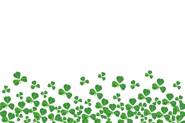 istock St Patricks Day bottom border of shamrocks over white 508009772