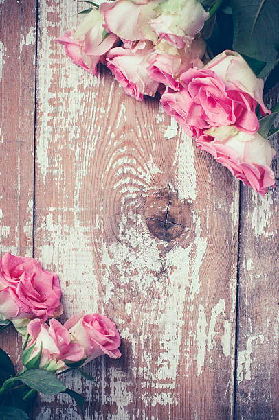istock pink roses on old wooden board 508010061