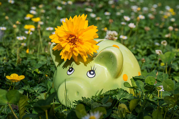 Piggy bank on a meadow stock photo