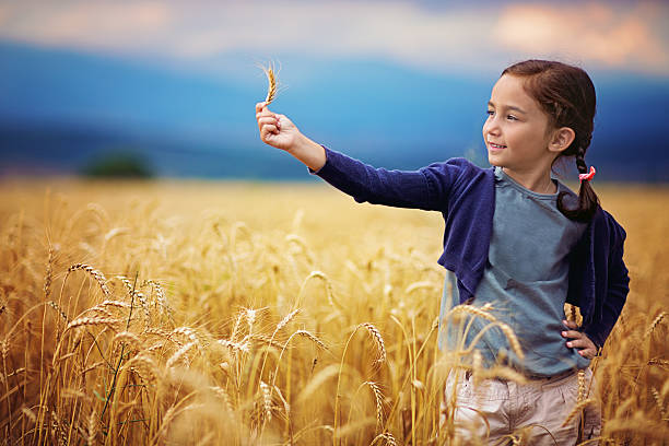 istock In the field of wheat 508011803