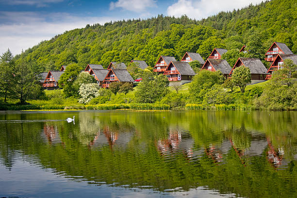 barend праздник village, loch и жилье.  лебедь фоне - woods reflection famous place standing water стоковые фото и изображения