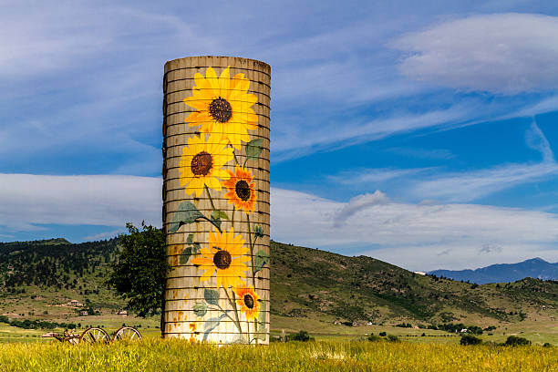 istock Rural Ranch Sunflower Farm Silo 508014497