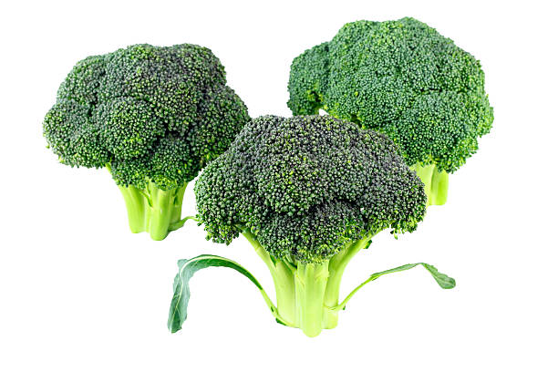 Broccoli Crowns Three raw green flowering stalks of this vegetable stand upright isolated on white.. broccoli crowns stock pictures, royalty-free photos & images
