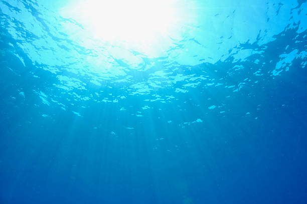 istock Rays of sunlight shining into water 508023664
