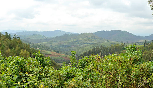 istock Rwanda: countryside around Kibeho 508023794