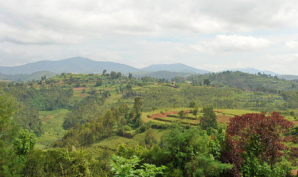 istock Rwanda: countryside around Kibeho 508023932
