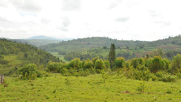 istock Rwanda: countryside around Kibeho 508024030