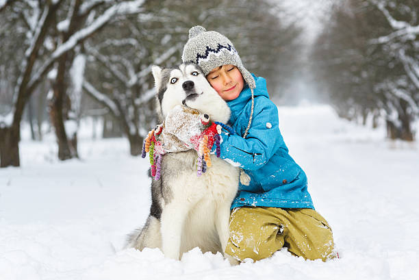 istock happy boy hugging dog or husky outdoors in winter day 508024638