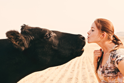 A young woman rancher and Black Angus cow reaching their faces toward each other. The woman has her lips puckered up and ready for a kiss. High resolution color photograph with horizontal composition and copy space at top of image.