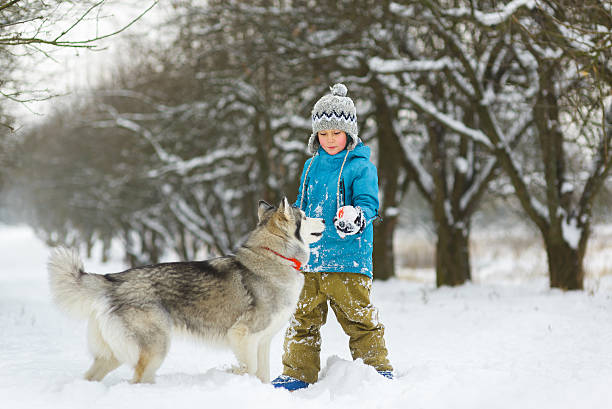 istock happy boy playing with dog or husky outdoors in winter 508026530