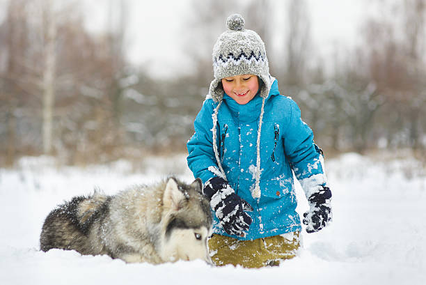 istock happy boy playing with dog or husky outdoors in winter 508027616