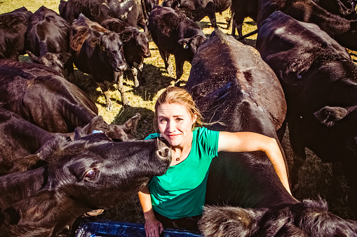 A young woman rancher surrounded by her herd of Black Angus cattle. She is looking up and smiling toward camera while a cow nuzzles her with its face. She has her arm around the back of another cow in an affectionate hug. High resolution color photograph with horizontal composition taken on a ranch in Montana.