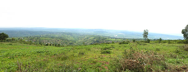 istock Rwanda:  The Nyabarongo river close to Kigali / Rebero 508028682